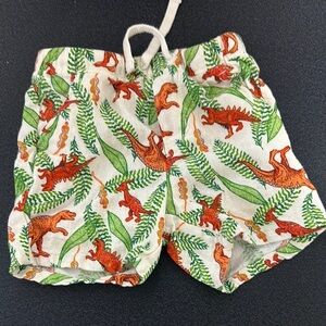 Dinosaur Print Kids Shorts